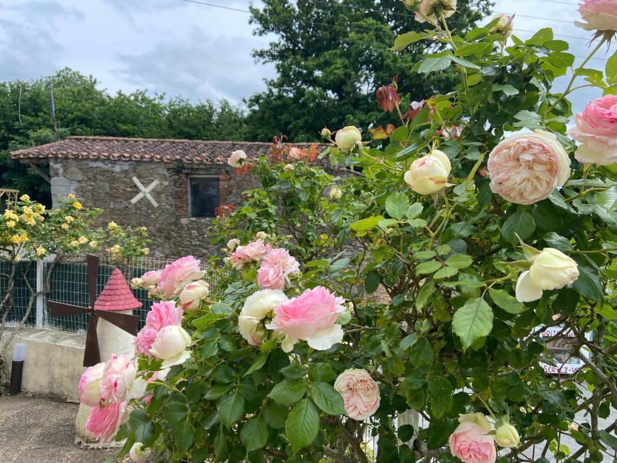 Le Petit Moulin Pouzauges Exterior foto
